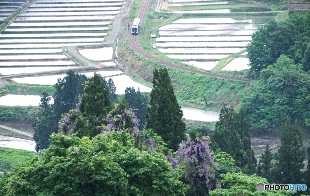 田んぼの水入りが整った五輪峠俯瞰撮影！