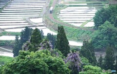 田んぼの水入りが整った五輪峠俯瞰撮影！