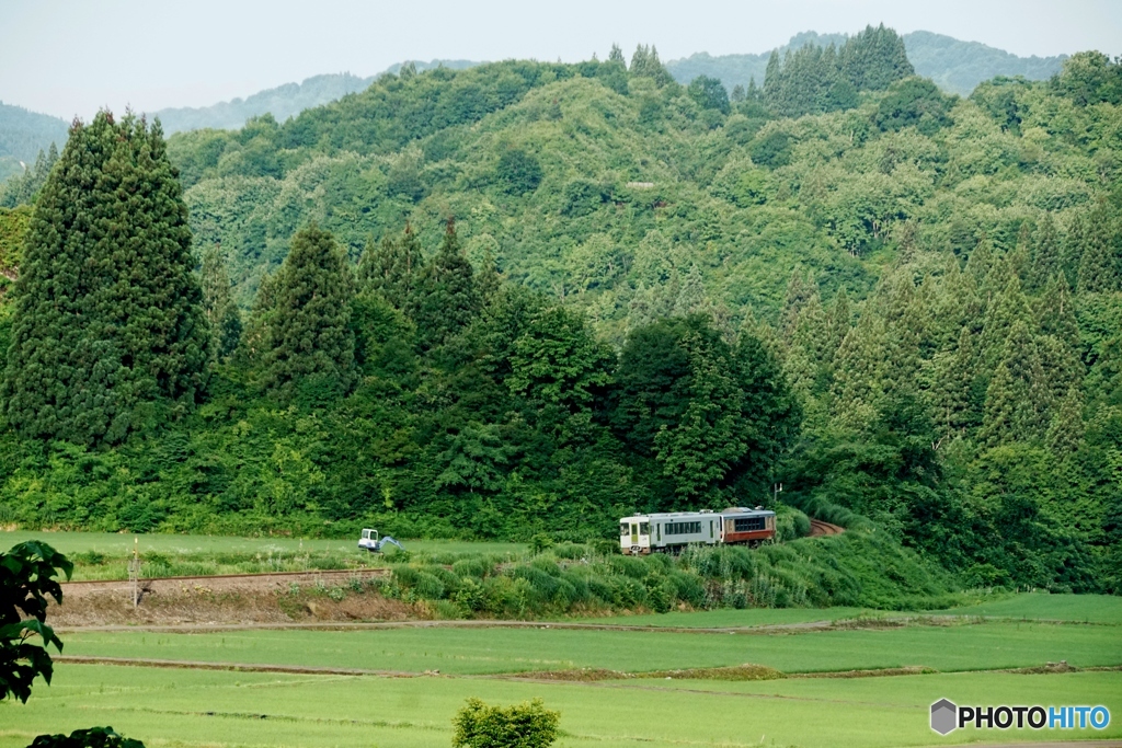 大草原を走る列車！