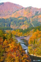 只見線　第１橋梁絶景！