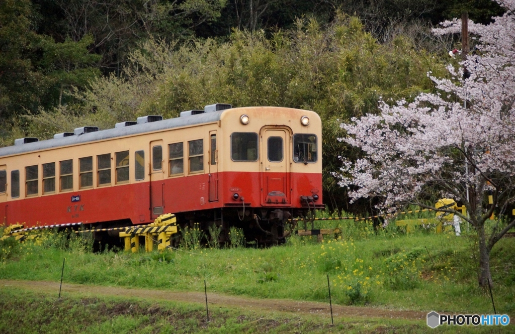 小湊鉄道　飯給駅に下り列車の到着シーン！