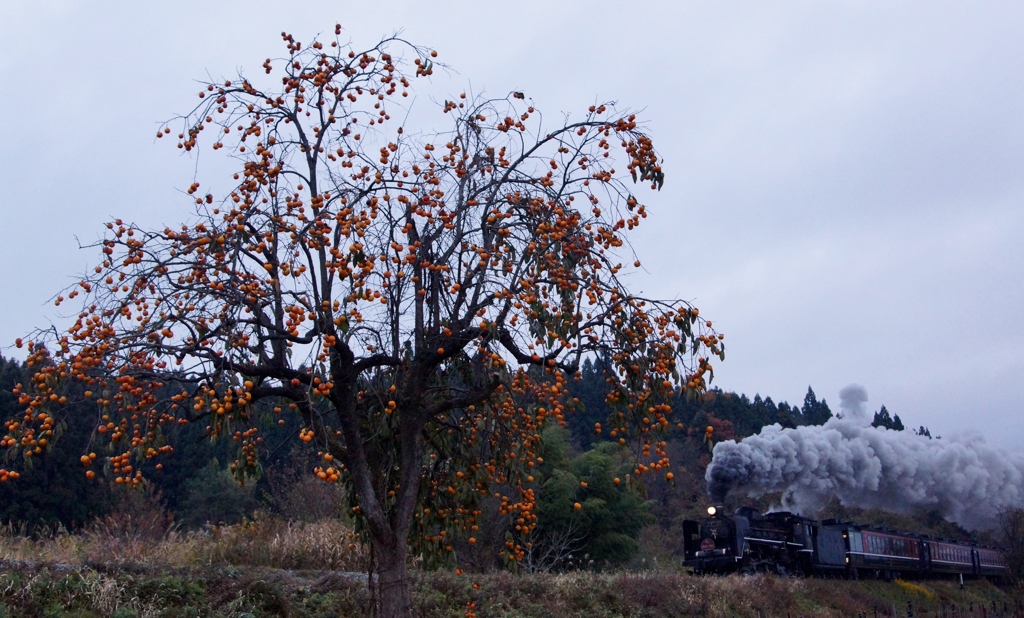 松野踏切の大柿！