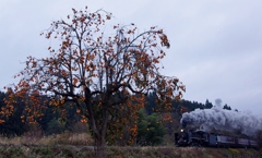 松野踏切の大柿！