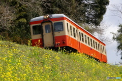 いすみ鉄道との出逢い！③