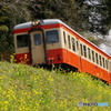 いすみ鉄道との出逢い！③