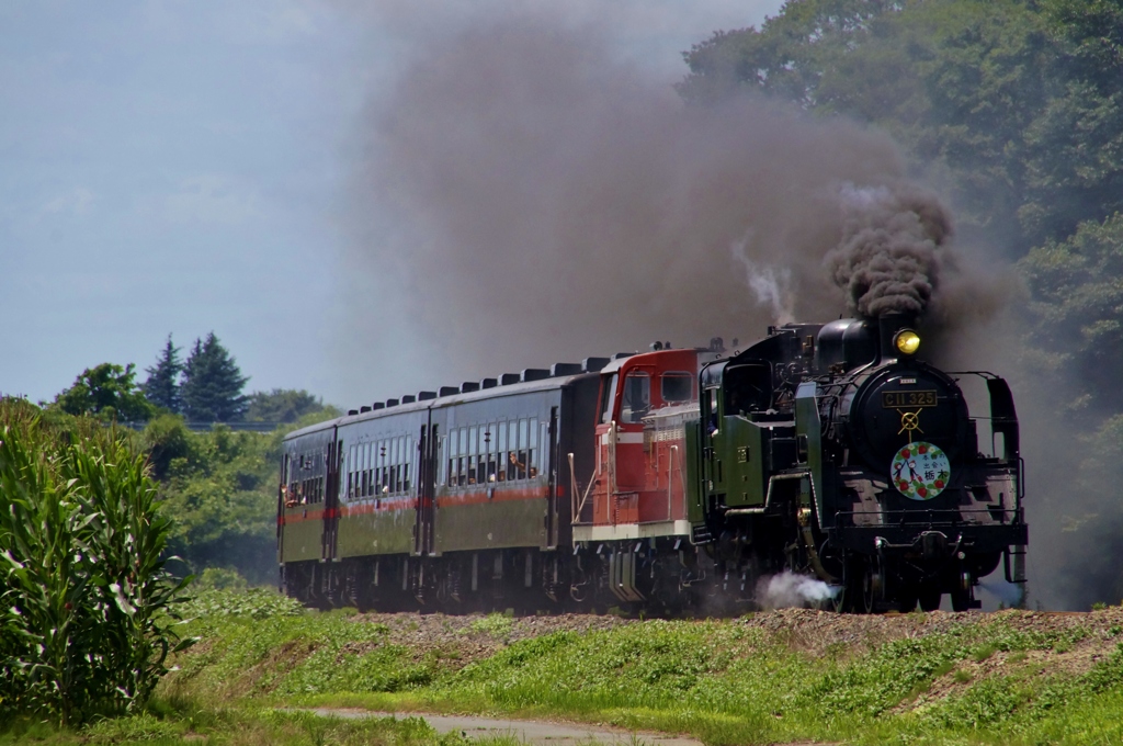 栃木ＳＬイベント最終日！ＳＬ・ＤＬタッグマッチ運行！