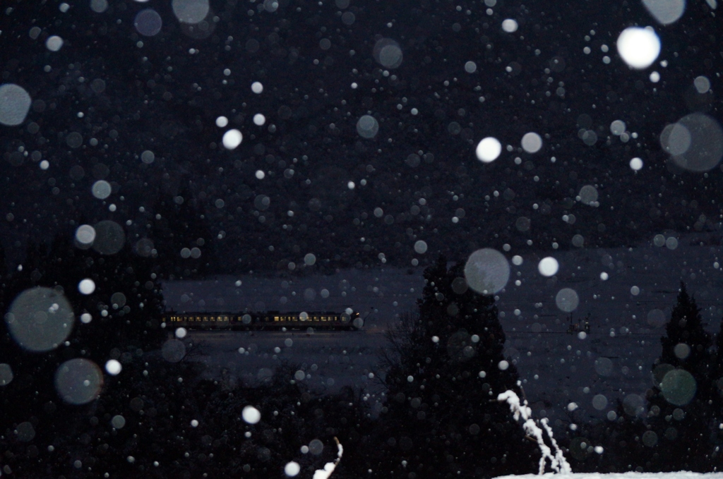 幻想的な雪の降る景色！