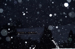 幻想的な雪の降る景色！