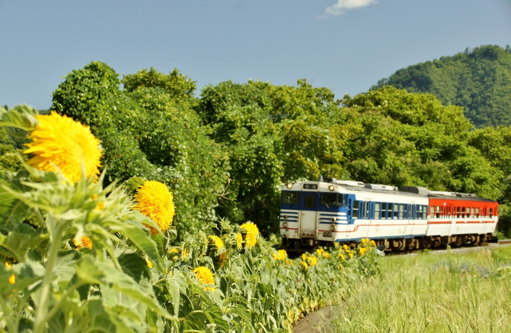 尾登の夏景！