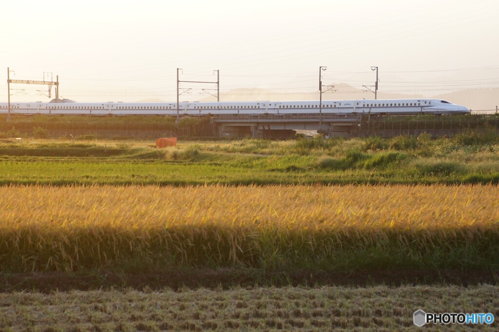 セピアカラー東海道新幹線！