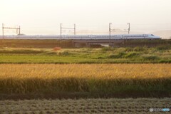 セピアカラー東海道新幹線！