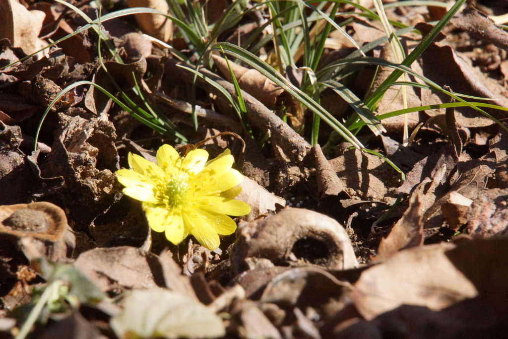 春は近いようで遠い⁈