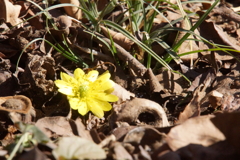 春は近いようで遠い⁈