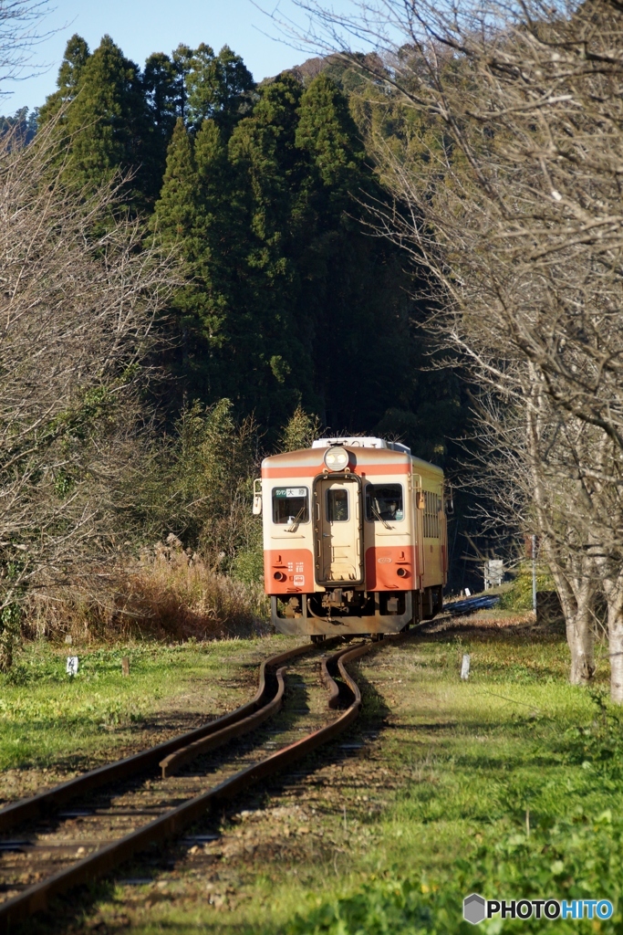 祝　いすみ鉄道全線開通！①～⑦の中の④