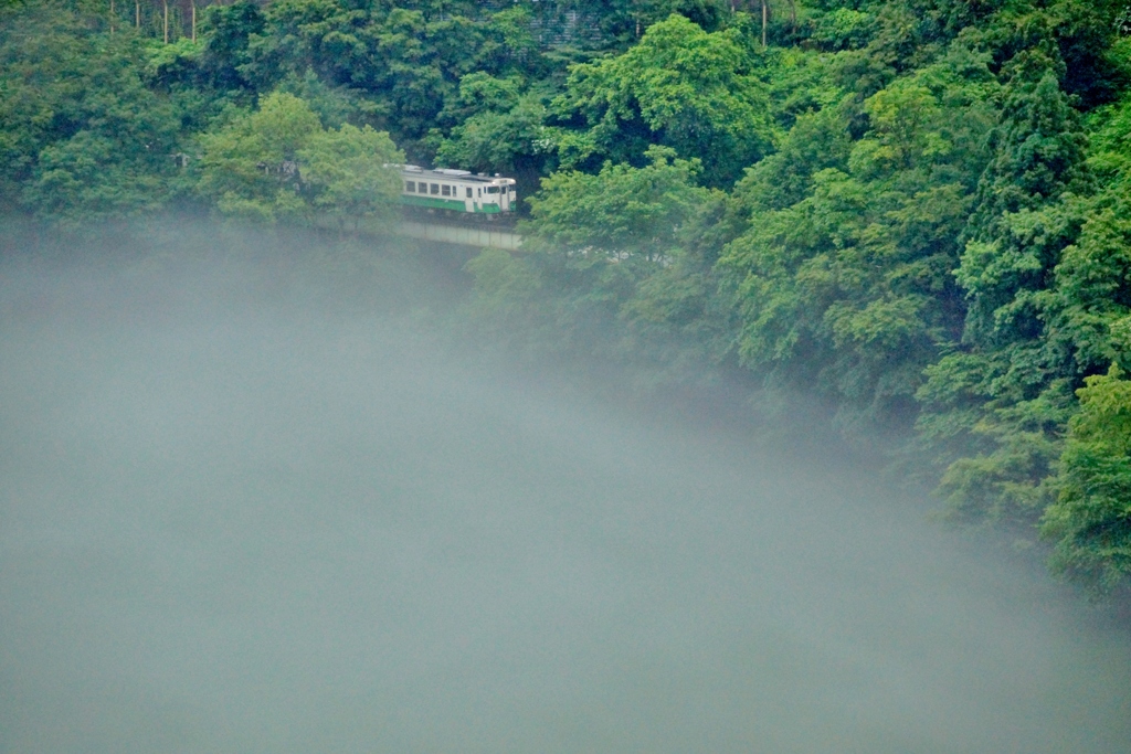 新緑と川霧が立ち込める中を進むキハ40！