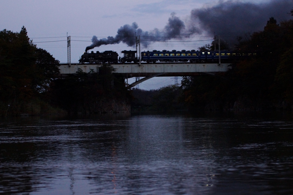 話題の「大樹」！