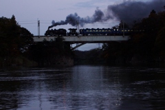 話題の「大樹」！