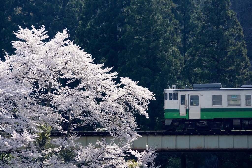 只見線月光寺サイドカット！