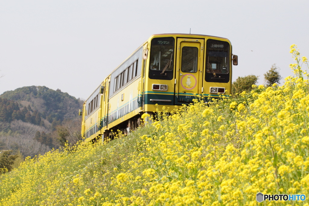 いすみ鉄道との出逢い！④（終）