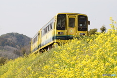 いすみ鉄道との出逢い！④（終）
