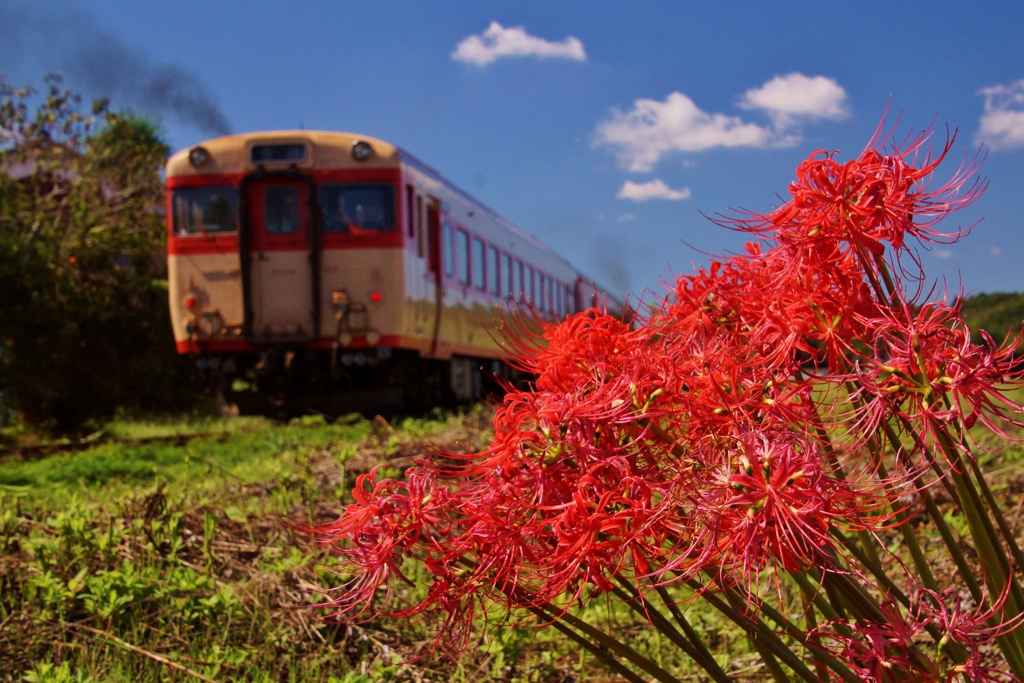 いすみ鉄道で「秋」発見！