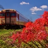 いすみ鉄道で「秋」発見！