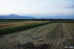 大山と東海道新幹線！