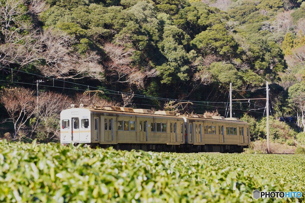 大井川鉄道の普通列車！