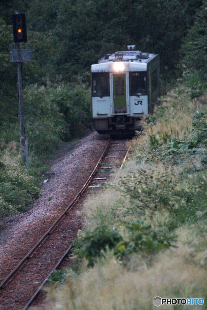 ススキを搔き分け進む最終列車！
