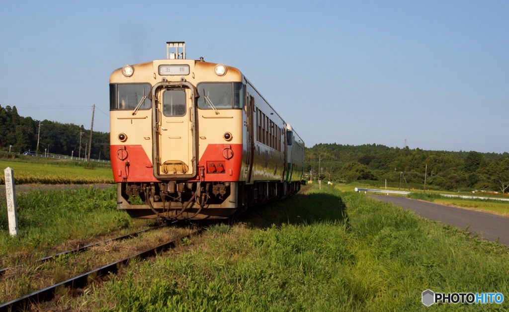 上総川間の田園風景を往くキハ40！