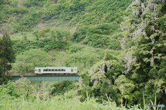 新緑の柿の木地区を走る単行キハ！
