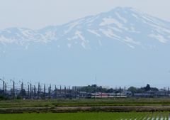 鳥海山＆旧型キハ！