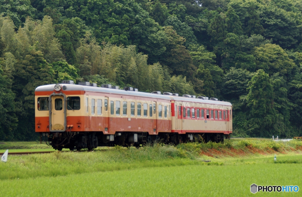 ひたちなか海浜鉄道の旧型キハ！①