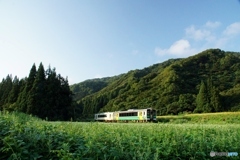 山村を走るキハ！