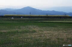 ドクターイエロー　イン平塚