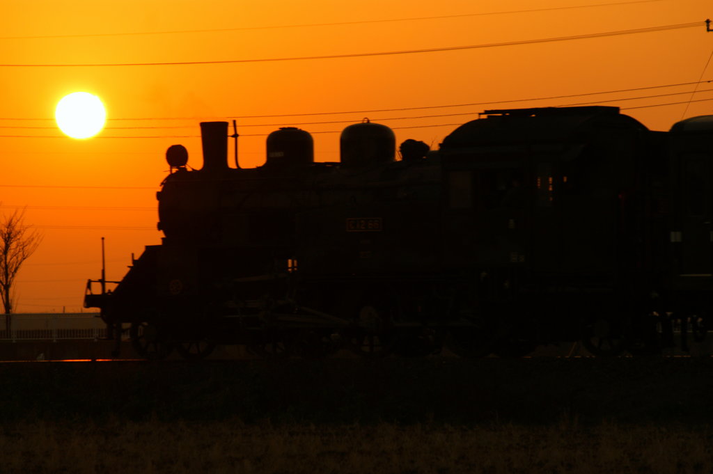残念な夕陽シルエット