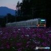 東武鉄道20400型バックビュー旅情！