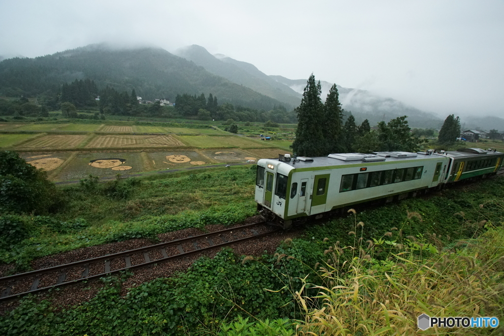 魚沼市　もみ殻アート！