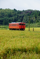 ローカルムード満載！⑯