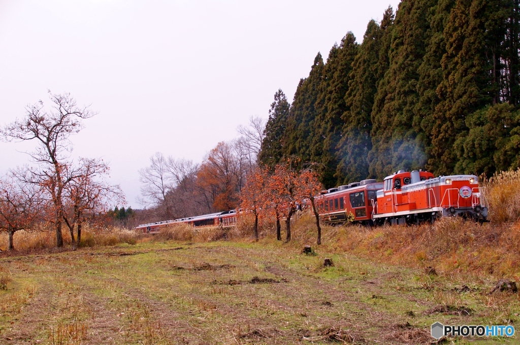 クリスマストレインの歴史2018！