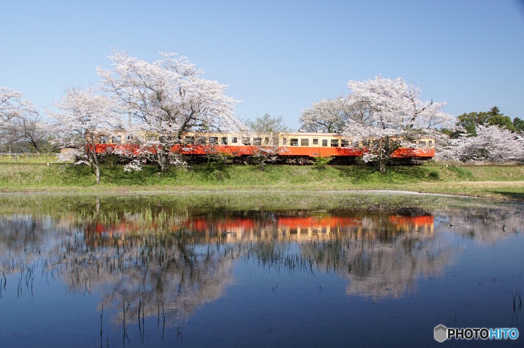 小湊鉄道の飯給駅サイド！