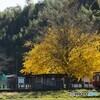 小湊鉄道　上総久保駅！