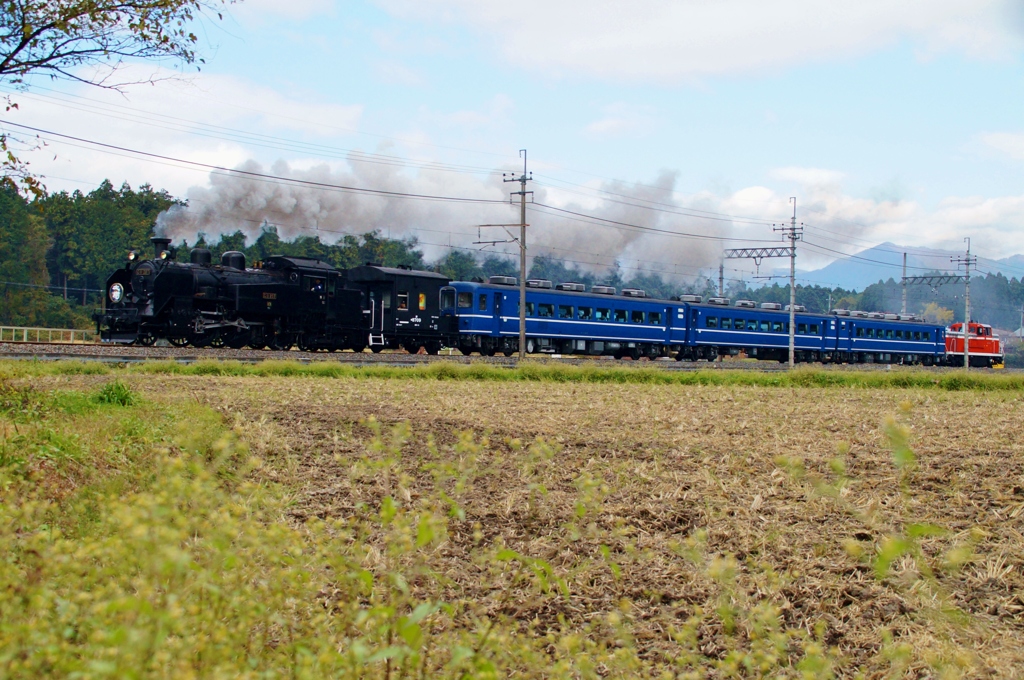 東武鉄道「大樹」