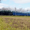 東武鉄道「大樹」