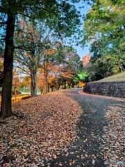 晩秋の小路！