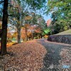 晩秋の小路！