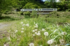 只見線　小出発の臨時列車！