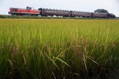 実りの秋のＤＬ牽引列車