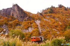 六十里越トンネルを出て来たキハ110と120！