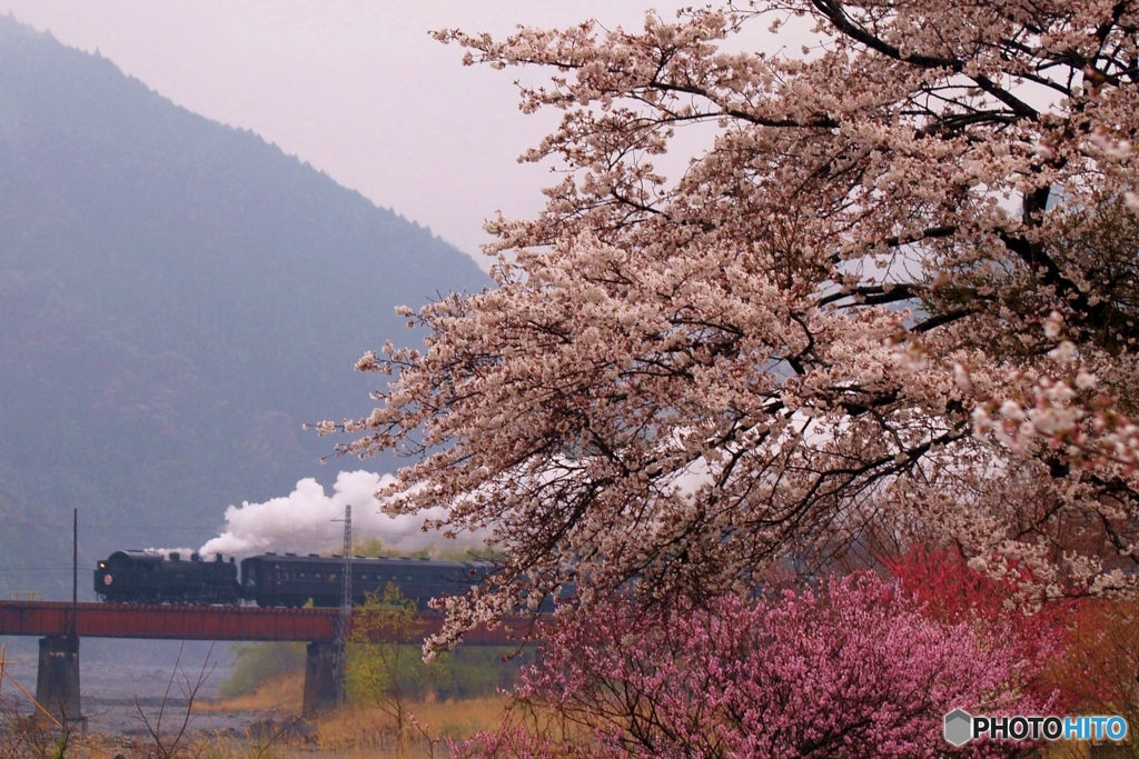 今の季節に見れそうな情景①～⑧の中の⑧（終）